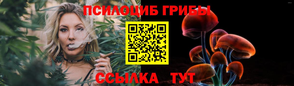 Псилоцибиновые грибы прущие грибы Красноармейск